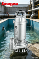 Pompe submersible pour eaux usées WQD-S de petite puissance 0,25 kW en acier inoxydable 304, 220 V monophasé, avec raccord fileté, résistante à la corrosion, longue durée de vie