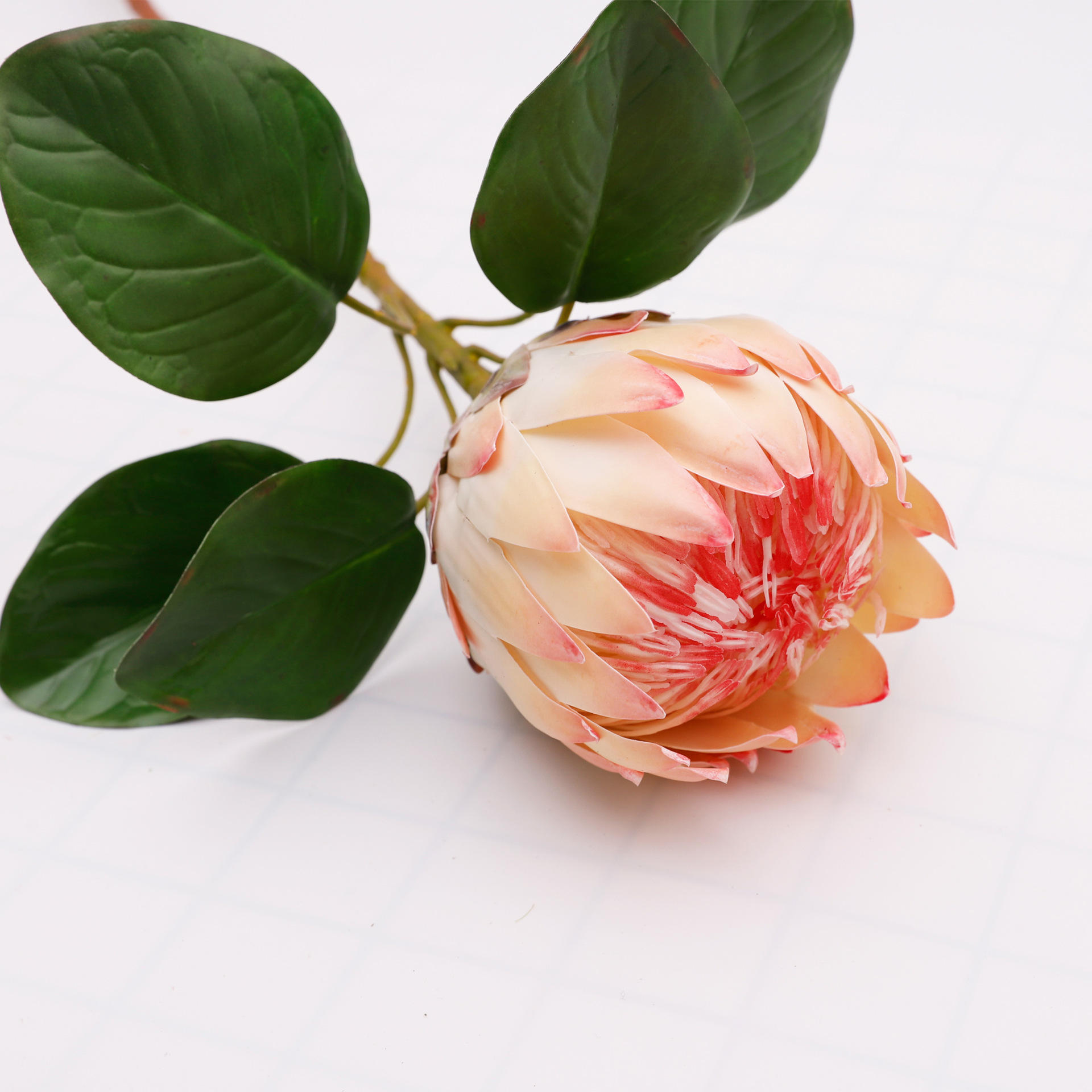 สไตล์1-ทอง