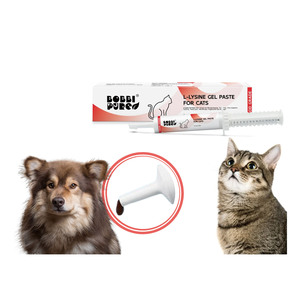 Bopure saf özel besleme sınıfı l-lizin Pet jel macun yem Oral jel kedi için bağışıklık sistemini artırır