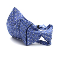 Geometrische blaue vor gebundene verstellbare 100% Seide gewebte gefaltete Mädchen Einzigartige Mode Ascot Krawatte Fliege Business Krawatten für Frauen