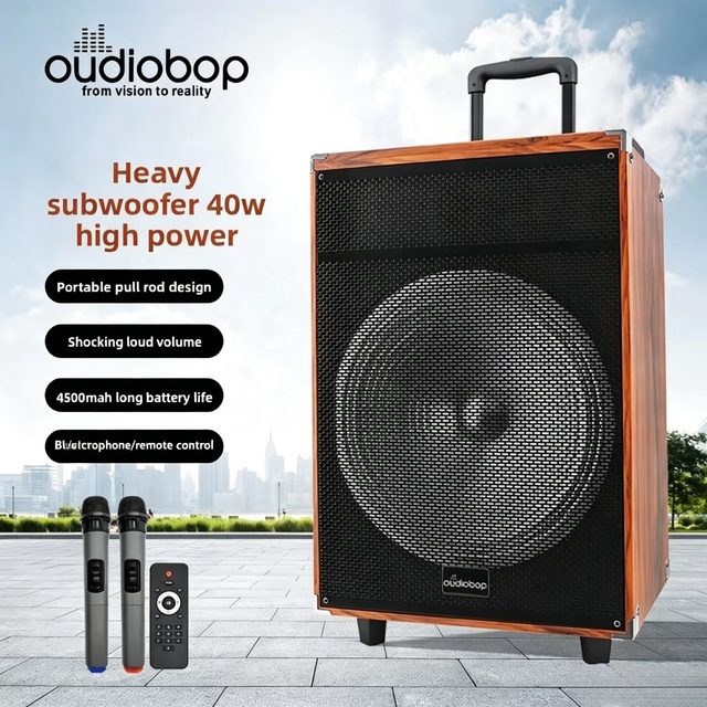 Ergonomic Handle Design Outdoor Square Dance Trolley Speaker Wireless Microphone Karaoke Portable for Audio Street Stall