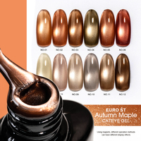 Westink Euro St Vernis Gel Effet Œil de Chat Automne Couleur Luxe avec Vernis Gel Magnétique Classique Effet Œil de Chat 15ml Bouteille Gel UV