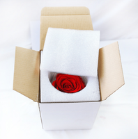Hadiah hari ibu grosir 2025 Dekorasi Hari Valentine, mawar bunga abadi abadi abadi abadi