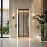 Ascensore Compatto per Villa, Design a Risparmio Energetico, Sollevamento Automatico, Dimensioni Personalizzabili, OEM/ODM Accettati