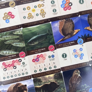 <span class=keywords><strong>Gioco</strong></span> <span class=keywords><strong>da</strong></span> <span class=keywords><strong>tavolo</strong></span>: <span class=keywords><strong>Cascadia</strong></span>: l'espansione Landmarks richiede il <span class=keywords><strong>gioco</strong></span> base, <span class=keywords><strong>gioco</strong></span> di strategia classico, regalo di compleanno essenziale - Product Image 6