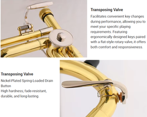 <span class=keywords><strong>Trombone</strong></span> professionnel en laiton de haute qualité, clé Bb, fabrication chinoise, vente en gros OEM, instruments de musique - Product Image 5