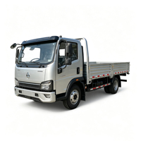 SINOTRUK HOWO 4.15m Tek Kabinli Düz Kasalı Hafif Kamyon Euro 6
