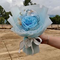 Yunnan Eeuwige Roos Pom-Pom Bobo Bal Bloemboeket Lichtvenster Display Cadeaubox Hortensia Gedroogde Bloem Festival/Valentijnsdag