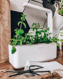 Meilleure vente 3 kit d'assaisonnement pour petit steak Smart Garden avec dosettes de plantes kit d'herbes système hydroponique pour <span class=keywords><strong>potager</strong></span> - Product Image 4