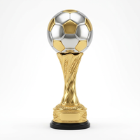 Trophée de football personnalisable en métal, bicolore or et argent, étanche, gravé, avec motif de ballon et d'épi de blé torsadé, pour récompense de performance