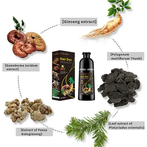 Custom Middle East Ginseng Ginger Serum Dye Shampoo Brown Red Purple Black Hairline Hair Color Shampoo Hair Dye Set