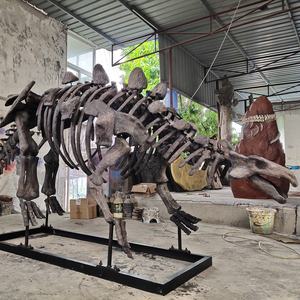 Zigong Blauwe Hagedis Opgraving Animatronic Dinosaurus Giant Skeletschedel Stegosaurus Dinosaurus Fossielen - Product Image 3