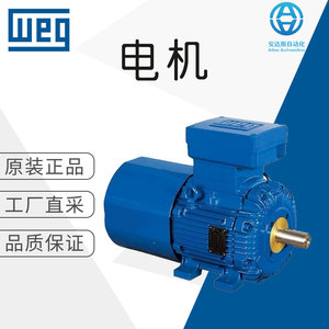 Motor de Inducción a Prueba de Explosiones WEG, Trifásico, Montaje en Pedestal, Motor Eléctrico Especial - Product Image 5