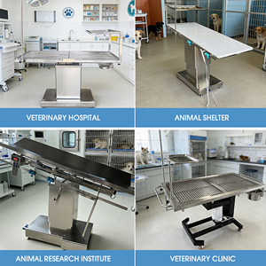 Mesa de Operaciones Veterinaria Hidráulica de Acero Inoxidable con Altura Ajustable, Soporte para Infusión y Recipiente de Almacenamiento para Clínica Veterinaria - Product Image 6