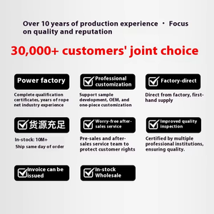 Giá rẻ sẵn sàng Tàu nhà máy cung cấp baifuguan mô hình 110-2 cường độ cao Mùa Thu bắt giữ an toàn xây dựng lưới cắt - Product Image 5