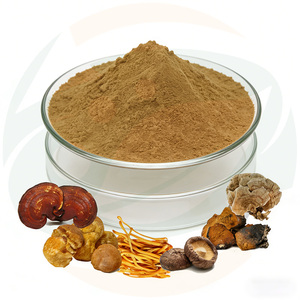 China-Herb Supply - Mezcla de Extracto de Hongos Potente 9 en 1: Melena de León, Cordyceps, Reishi, Chaga, Cola de Pavo y Maitake en Polvo - Product Image 3