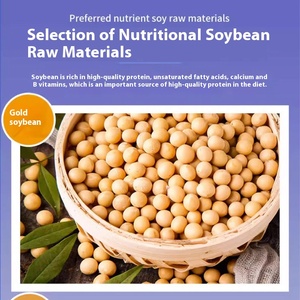 Proteína de Soja de Alta Absorção Fácil de Digerir Grau Alimentar para Estudantes de Idade Média Nutrição Equilibrada Vitamina Latas Ativas - Product Image 5