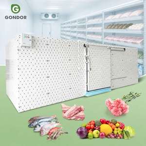 Contenedor Refrigerador <span class=keywords><strong>de</strong></span> 40 Pies para Almacenamiento en Frío <span class=keywords><strong>de</strong></span> Cebollas, Congelador Industrial <span class=keywords><strong>de</strong></span> 10 Pies <span class=keywords><strong>de</strong></span> Profundidad, Capacidad <span class=keywords><strong>de</strong></span> 300 Toneladas - Product Image 1