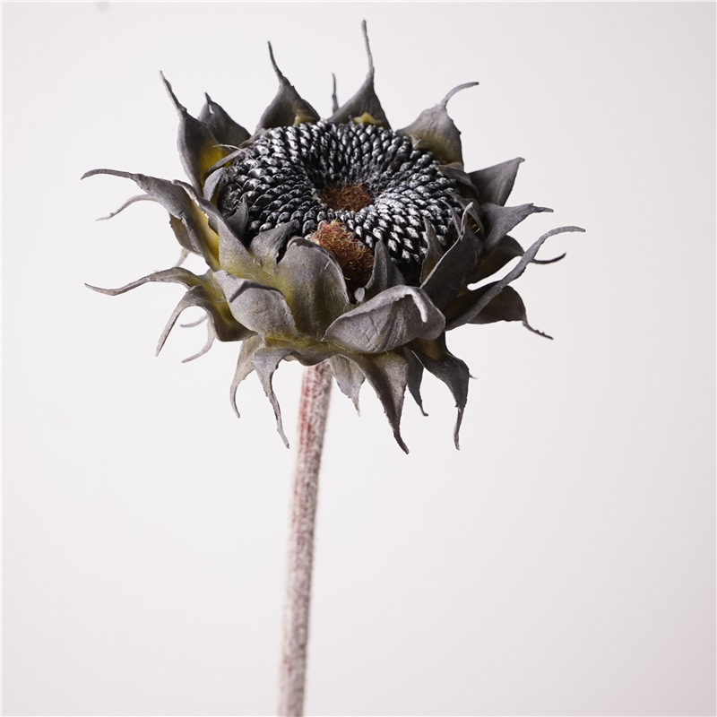 Soft plastic sunflower-black-white