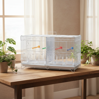 Vente en Gros Usine Cage à Oiseaux en Métal, Petite Cage pour Perroquets, Conception OEM, Cage d'Élevage pour Oiseaux en Acier, Montage Facile