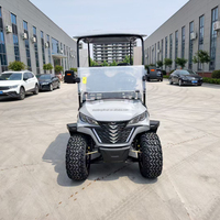 Lifted Off Road Diesel Golf Buggy 2 Seater Battery Operated Utility Cart for Industrial Park Theme Park Resort Maintenance Work