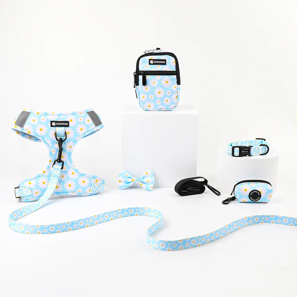 Luxus-Hunde-Gurt-Set trendige Hundetragetasche anpassbare Hundehalsbänder und Leinen Haustierzubehör