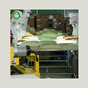 เจลว่านหางจระเข้แช่แข็งยอดนิยมพร้อมส่งมาตรฐานการส่งออกสำหรับผลิตภัณฑ์ทางการเกษตรสำหรับเวียดนาม - Product Image 1