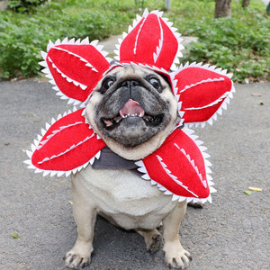 Disfraz de Cabeza de Gato y Perro, Gorro de Transformación <span class=keywords><strong>Audrey</strong></span> <span class=keywords><strong>II</strong></span>, Accesorio para Disfraz, Disfraz de Halloween - Product Image 1