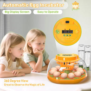 Incubadora Automática LED Exibição em Tempo Real de Temperatura e Umidade One Click Setting Excelente Ajudante para Fazendas Familiares - Product Image 4