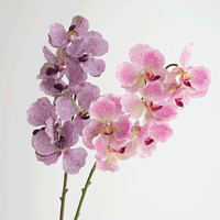 Orchidée blanche pour mariage et remise de diplôme - 7 têtes de fleurs artificielles Phalaenopsis au toucher réel pour la décoration de la maison