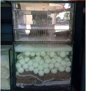 Boule bicyclette pour Aquarium, 30-50mm, accessoire de filtre à bactéries, indéchirable, fabrication en chine - Product Image 3