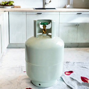 ถังแก๊ส LPG เหล็กแบบพกพาแรงดันต่ำ ปลอดภัย สำหรับตั้งแคมป์ ขนาด 10 กก. - Product Image 3