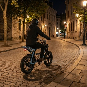 Klasik Şehir Sürüşü Geceye Hazır Heritage Elektrikli Bisiklet, LED Farlı, Eski Şehir Yaya Döngüsü Yolları için Şehir E-bisikleti - Product Image 5