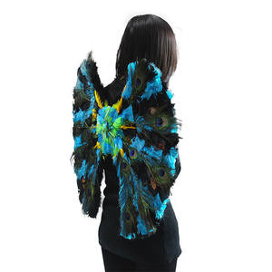 ขนนกยูงขายส่งเครื่องแต่งกายขนาดใหญ่ปีกนางฟ้าสำหรับขาย - Product Image 2