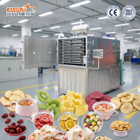 Machine de lyophilisation alimentaire automatique PLC certifiée CE en acier inoxydable 304 haute capacité, économe en énergie, multifonctionnelle, clé en main