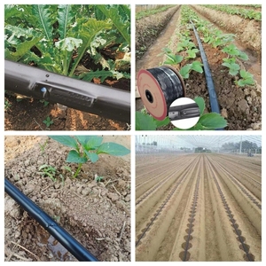Kit de Système d'Irrigation <span class=keywords><strong>Goutte</strong></span> <span class=keywords><strong>à</strong></span> <span class=keywords><strong>Goutte</strong></span> d'un Hectare pour Poivre Chili Oignon Ferme PN16 HDPE <span class=keywords><strong>1000m</strong></span> <span class=keywords><strong>Tuyau</strong></span> 16mm Plastique <span class=keywords><strong>Tuyau</strong></span> <span class=keywords><strong>Goutte</strong></span> <span class=keywords><strong>à</strong></span> <span class=keywords><strong>Goutte</strong></span> Agriculture - Product Image 2