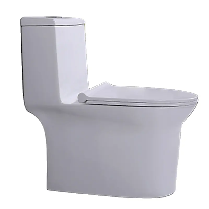 Salle de bain de luxe en céramique fabricants de haute qualité compostage toilette siphonique monobloc montée au sol