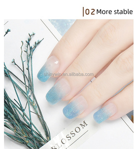 Puntas de Venta caliente, herramienta de Gel de extensión de construcción rápida, puntas de <span class=keywords><strong>Uñas</strong></span> <span class=keywords><strong>postizas</strong></span>, Gel de pegamento, <span class=keywords><strong>colores</strong></span> populares para Gel de construcción - Product Image 5