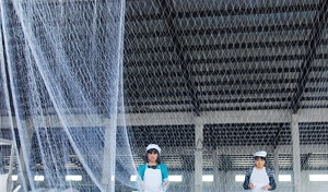 Lưới Đánh Cá Nhiều Sợi <span class=keywords><strong>Nylon</strong></span> 210D/9PLY 12 Lớp Chất Lượng Cao Myanmar 100MD-400MD - Product Image 6