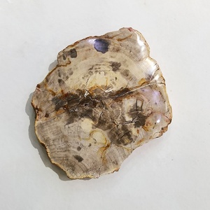 Vente en gros de bois pétrifié naturel, bois poli, fossile, dalle, pierre brute, tranche, spécimen, décoration, artisanat, pièce de bois pétrifié - Product Image 3