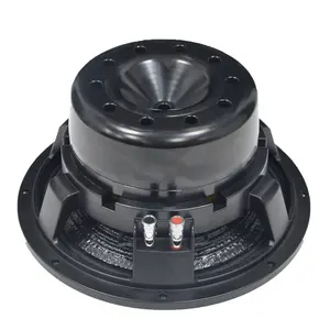 800W Outdoor Speaker with Big Power 10-Inch Metal Shell Subwoofer OEM Factory Audio Device