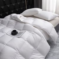 Couette en duvet de plumes d'oie/canard bio en gros pour lit Queen/King, idéale pour l'hiver et l'usage domestique, inspirée de l'hôtel Hilton
