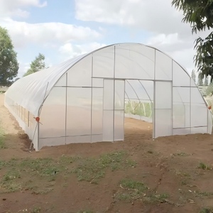 <span class=keywords><strong>Serre</strong></span> en <span class=keywords><strong>plastique</strong></span> à une seule travée avec structure en acier galvanisé et film PE pour les semis de légumes et de fleurs - Product Image 3