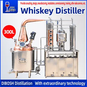 300 Liter Alcoholdistilleerder Whisky Brandewijn Gin Rum Cooper Stilstaande Apparatuur