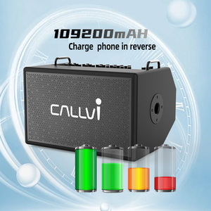 Hệ thống loa âm thanh loa siêu trầm hiệu suất cao 500W DJ Loa răng xanh bên và hệ thống âm nhạc loa âm thanh - Product Image 3