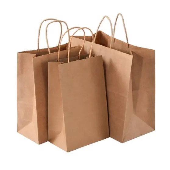 リサイクルブラウンクラフト紙袋卸売クリスマスカスタム印刷卸売直接販売卸売価格食料品用