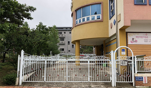 高品質亜鉛メッキグリーンヨーロピアンフェンスプロファイル錬鉄製柵屋外スチール柵フェンシング - Product Image 4