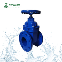 Vanne à opercule en fonte ductile GGG50 à passage plein DIN3352 F4 PN16 DN100-DN500 à brides EPDM avec revêtement époxy bleu