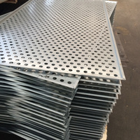 Grille de haut-parleur en tôle perforée en acier inoxydable, micro-perforée en aluminium, personnalisée