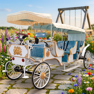 EGO Three-<b>row</b> Sightseeing Horse Carriage-High Quality Low Price 8 Persons Capacity Electric/Horse Drawn for Sightseeing - Product Image 1